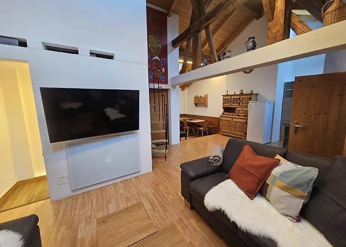 Chasa Mayer * سكول