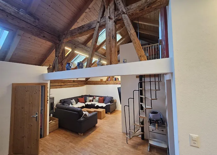 Chasa Mayer * سكول